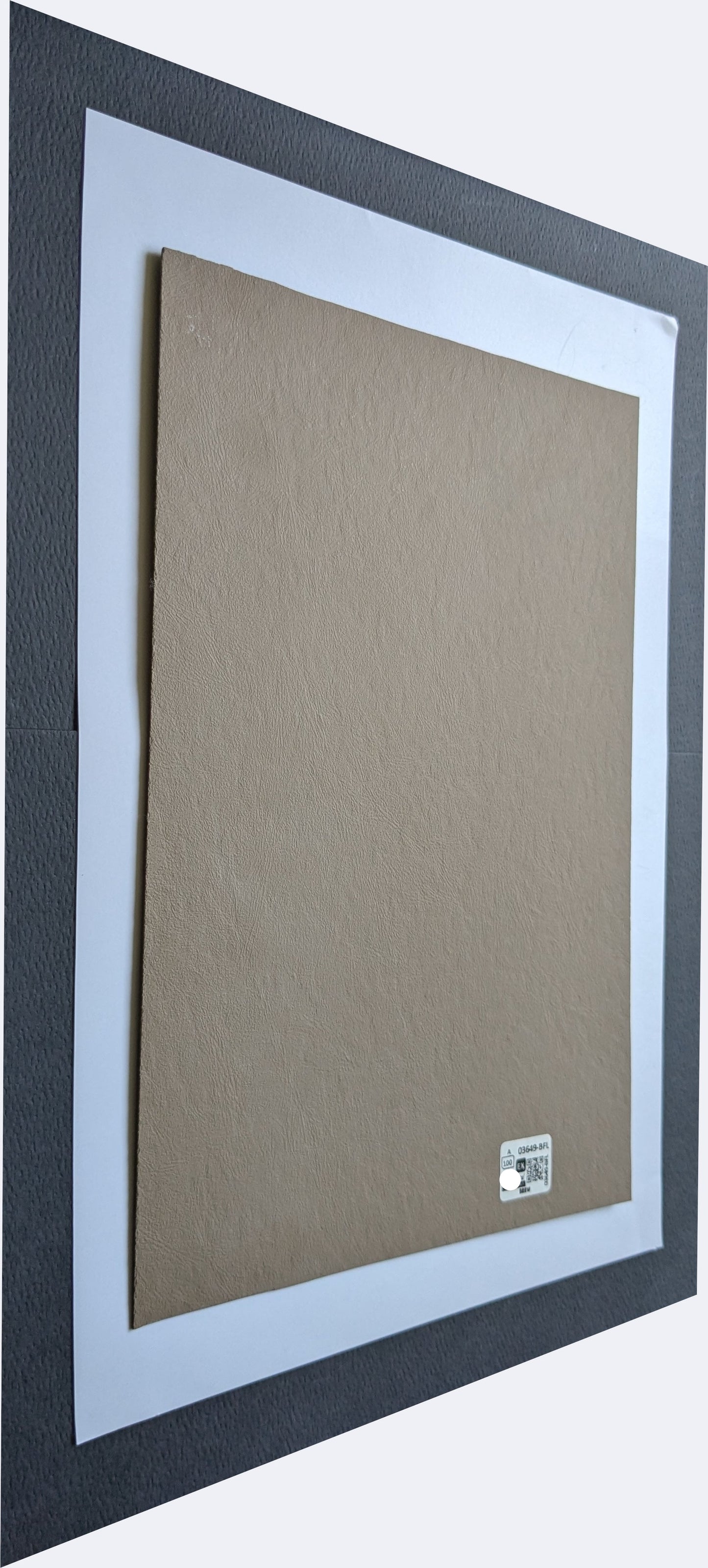 3649-BFL