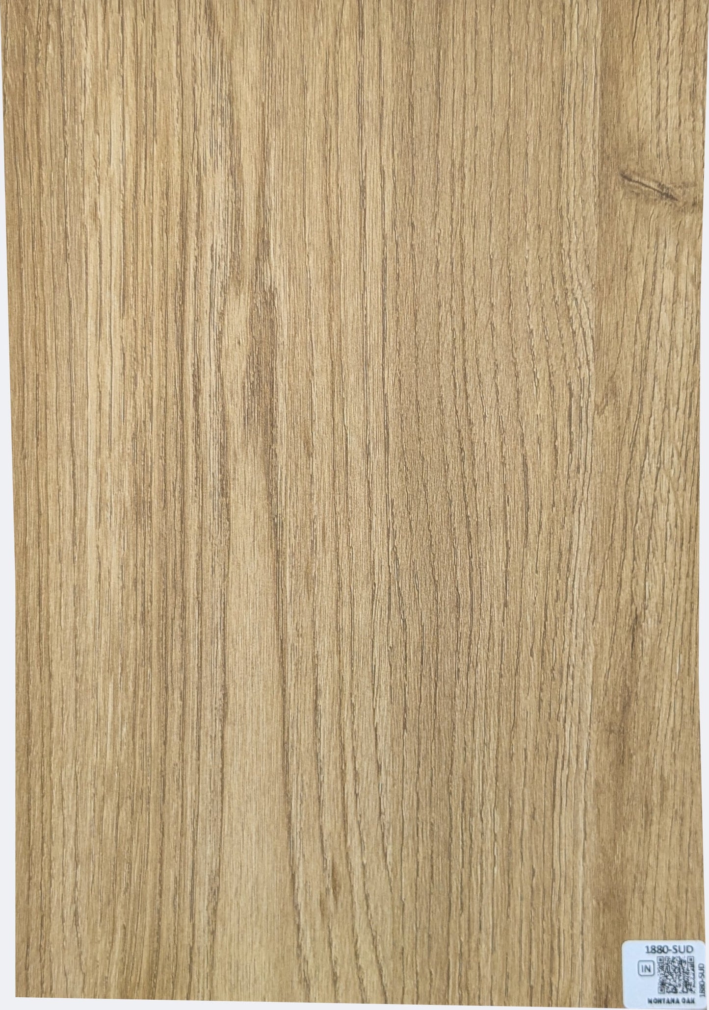 1880-SUD