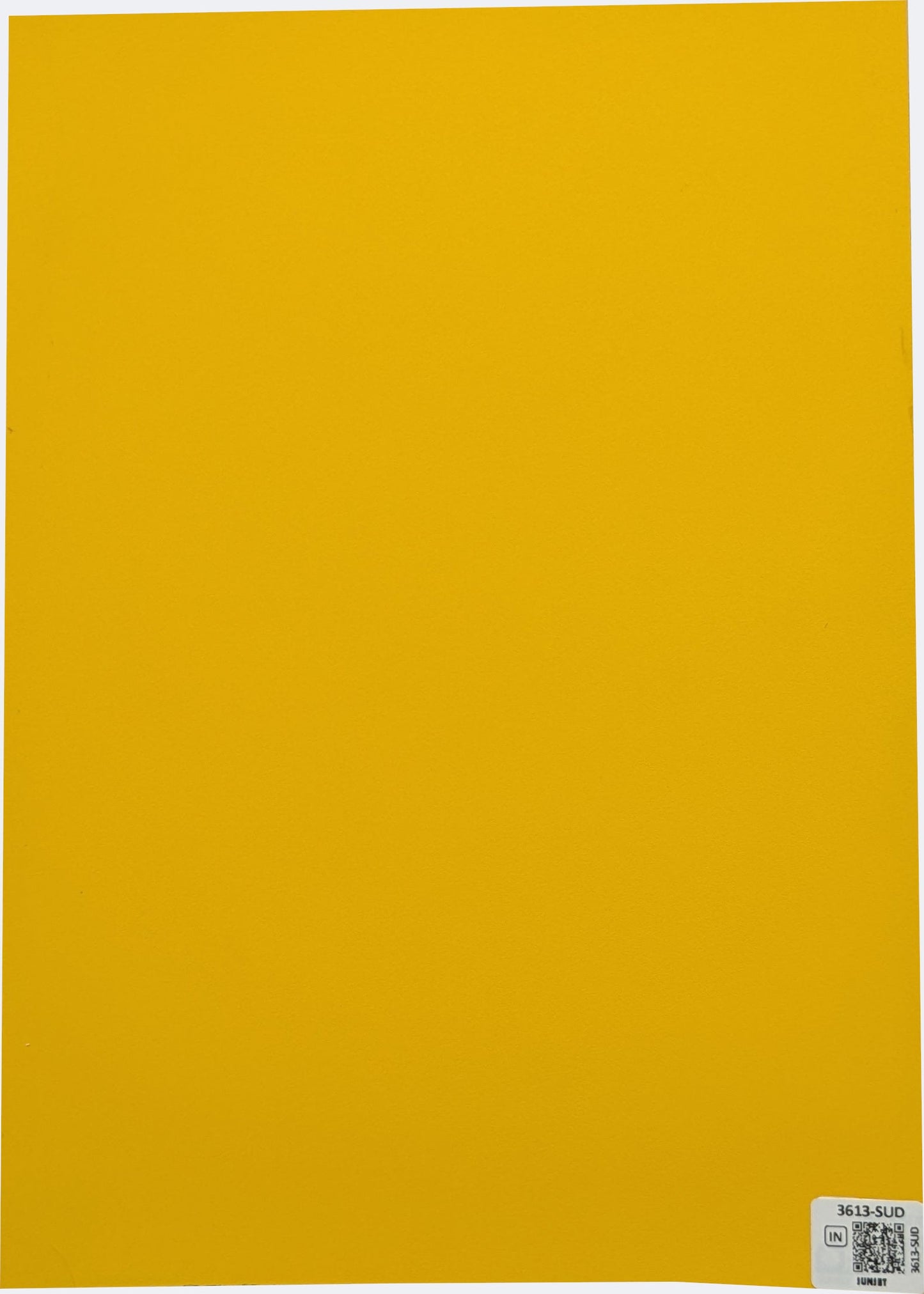 3613-SUD