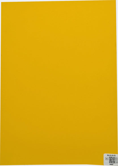 3613-SUD