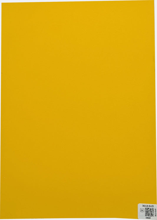 3613-SUD
